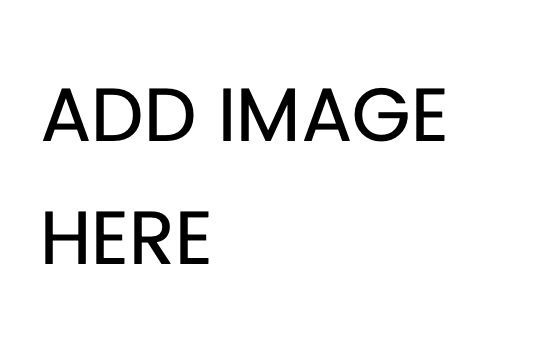 The Brighton Kitchen Studio